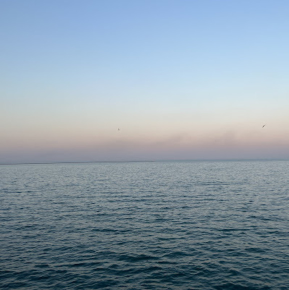 Meet your Posher, Catyyy - Picture 1 of 1